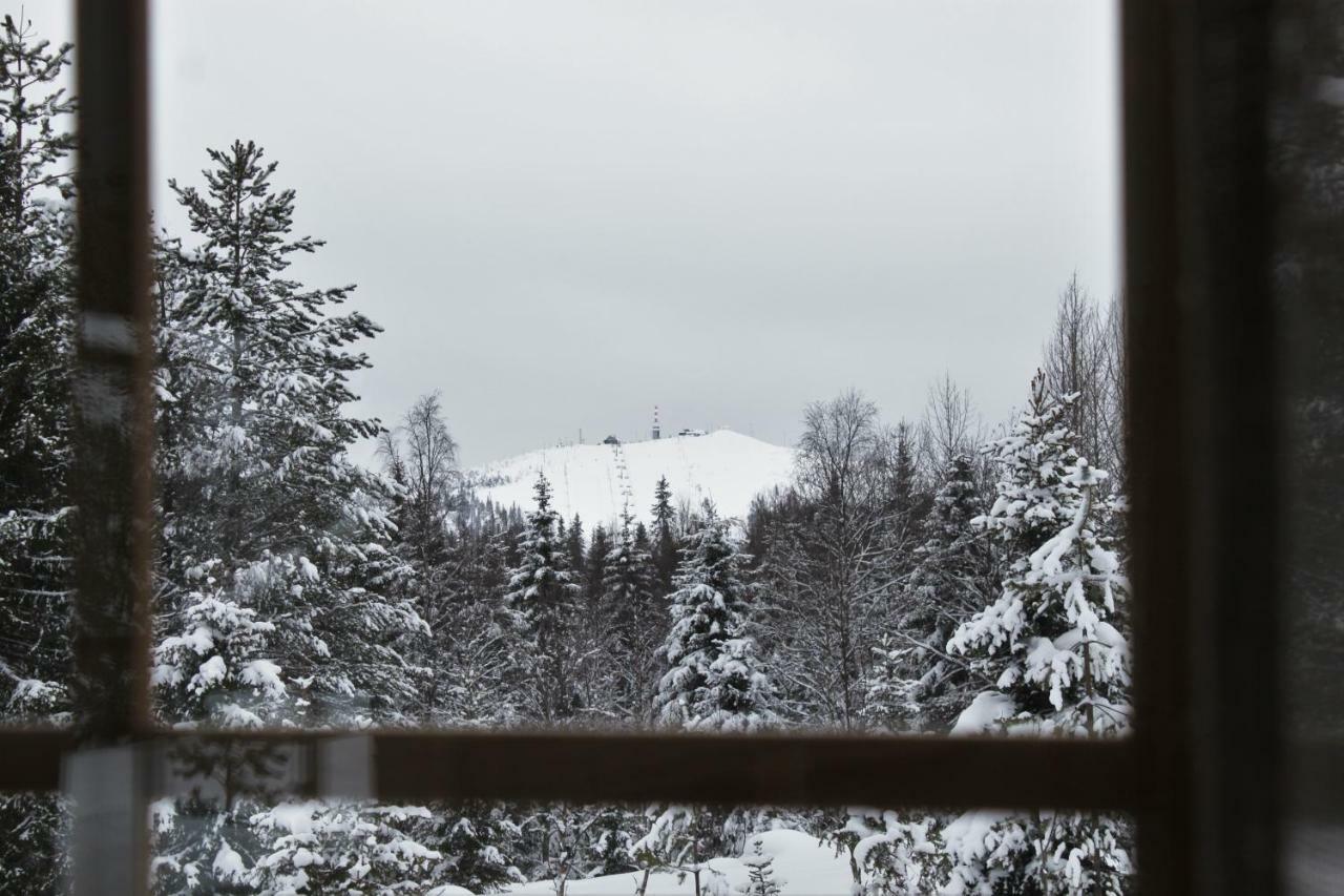 Tunturituuli Chalet